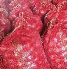 Fresh Red Onions 02
