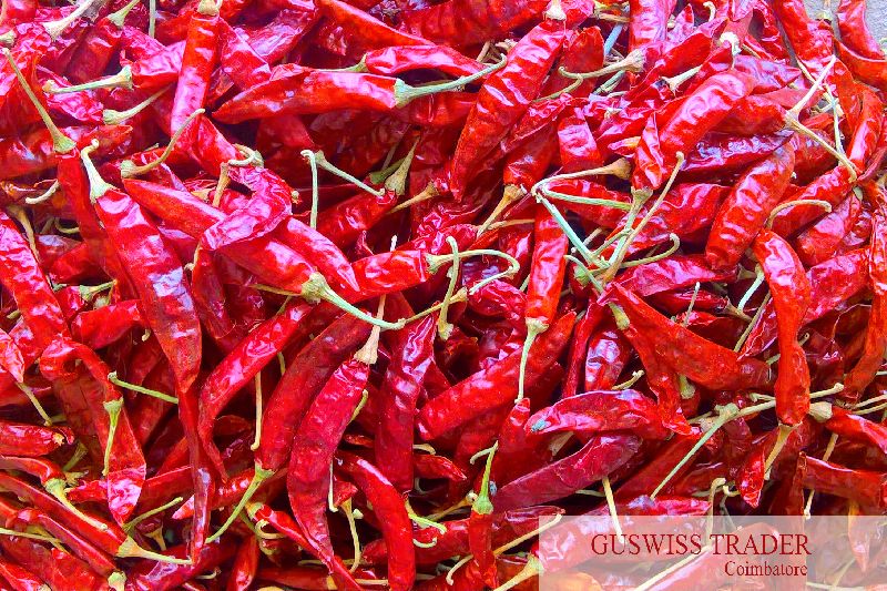 Dried Red Chilli 01