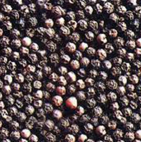 Black Pepper