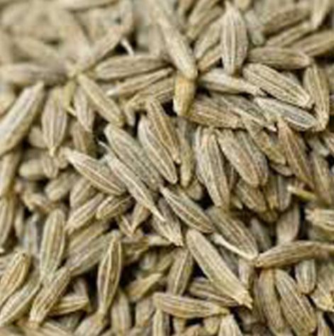 Cumin Seeds