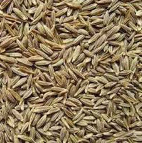 Cumin Seeds