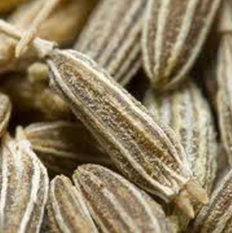 Cumin Seeds