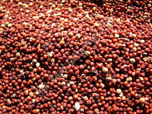 Millet Seeds 01