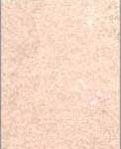 Pink Sandstones Slab