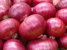 Fresh Red Onion 02
