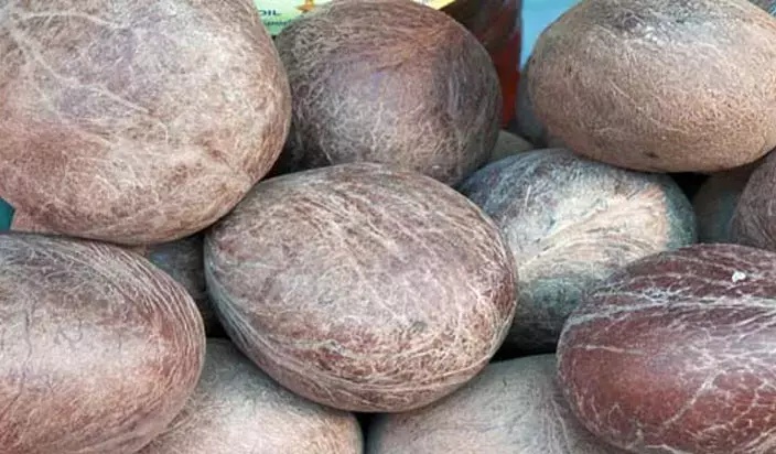 Dry Copra Coconut