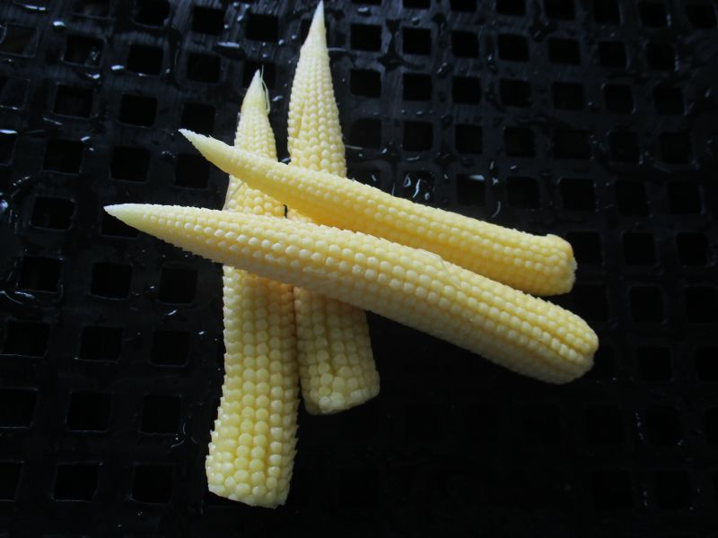 Baby Corn 03