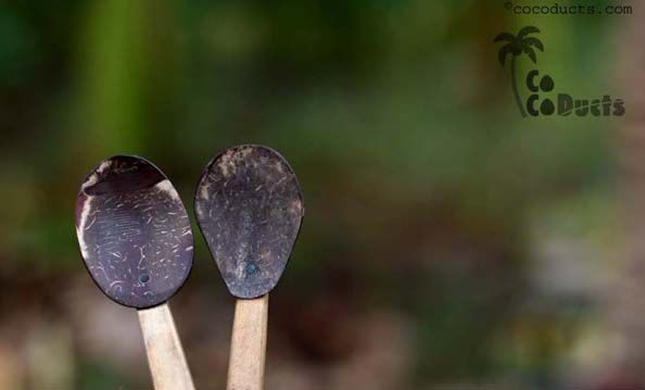 Coco Spoons 02