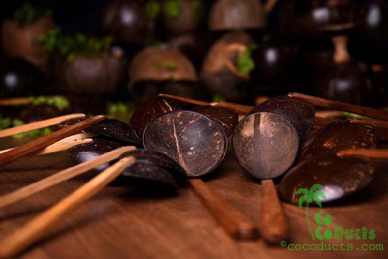 Coco Wooden Spatula 02