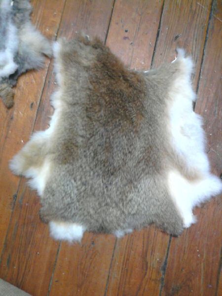 Rabbit Fur 02