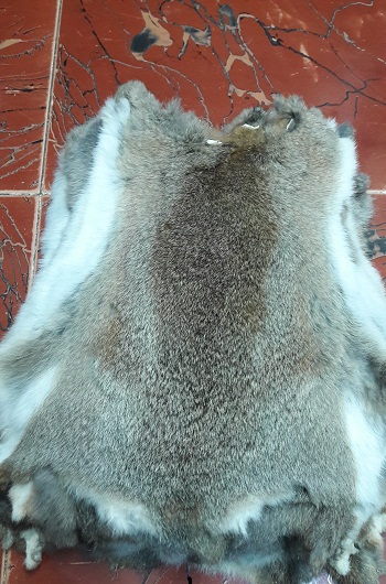 Rabbit Fur