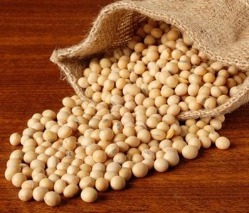 D P Sons In Bhaghana Neemuch Madhya Pradesh Amla Dealer Indianyellowpages