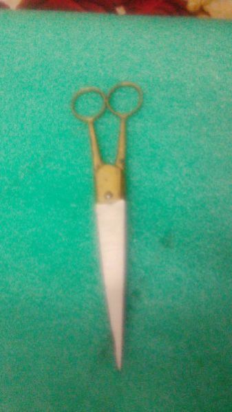 Barber Scissor 04