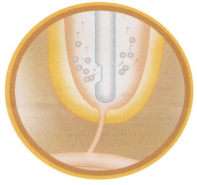 Dental Irrigation Needle 03