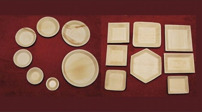 Areca Leaf Plates 04