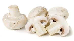 White Mushroom 02