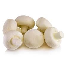 White Mushroom 03