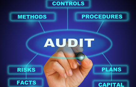 Process Auditing Services