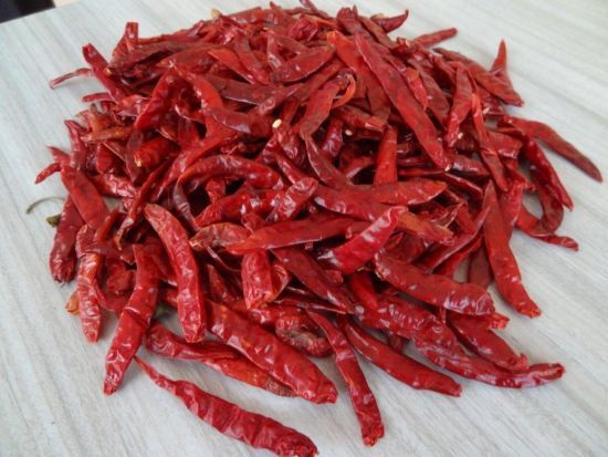 Dried Red Chilli