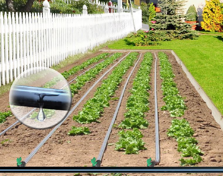 Garden Drip Irrigation