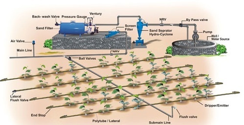 Graphical Image