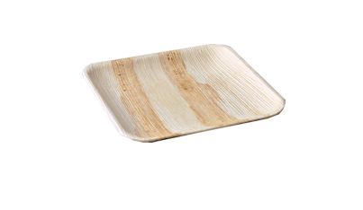 8 Inch Square Disposable Plate