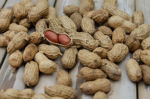 Shelled Groundnuts 01