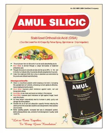 Amul Silicic Stabilized Orthosilicic Acid