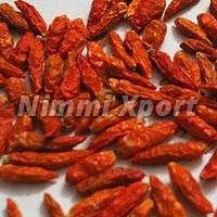 Kanthari Chilli