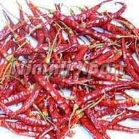 Sannam 334 Chilli