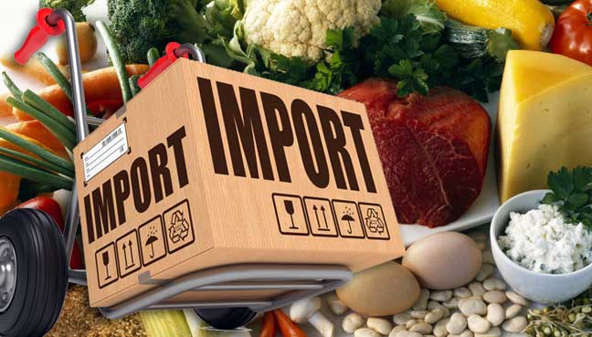 Food Import Services