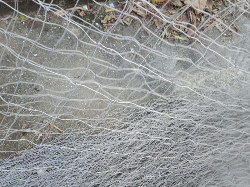 Fishing Nets Manufacturer Exporter Supplier in Ahmedabad India