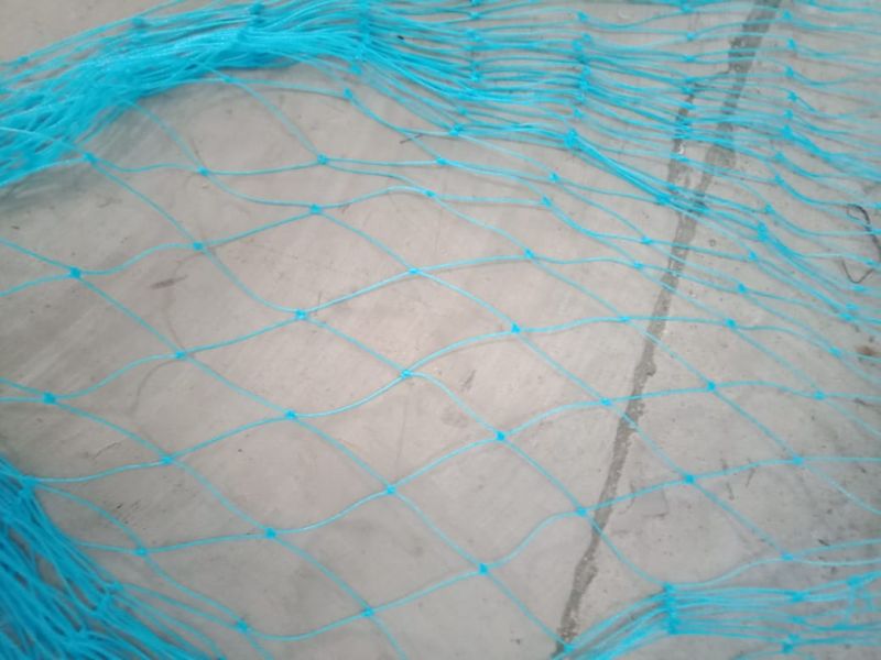 Fishing Nets Manufacturer Exporter Supplier in Ahmedabad India
