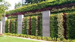 Vertical Gardening Services