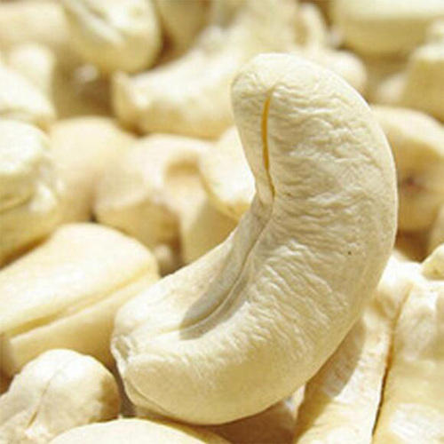 Big Size Cashew Nuts