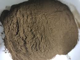 Bacopa Extract Powder
