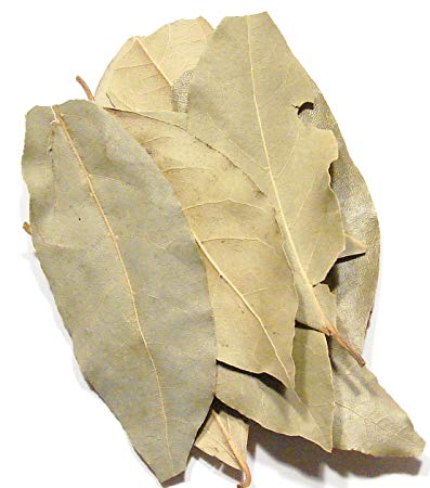 Dry Bay Leaf
