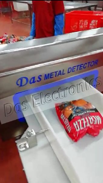 Frozen Food Industry Metal Detector
