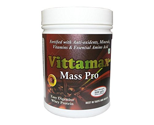 Chocolate Flavored 500gm Mass Pro Protein Powder