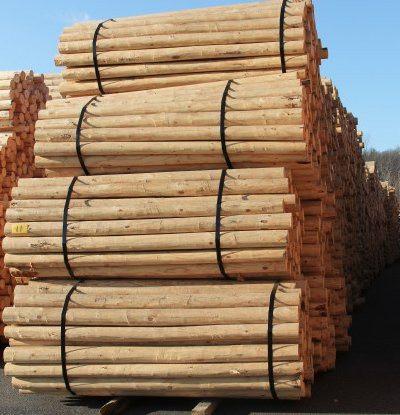 Wholesale CCA Treated Timber
