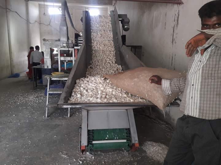 Garlic Sorting Grading Machine