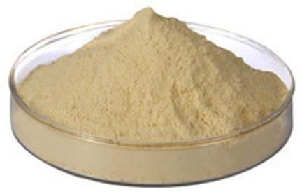 Protein Hydrolysate Powder