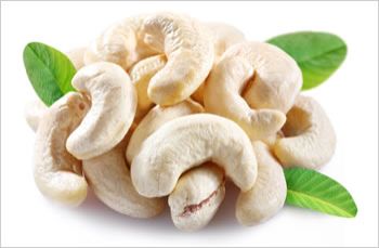 Cashew Nut 01