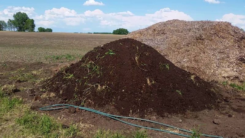 Composted Cow Manure Manufacturer Wholesale Composted Cow Manure