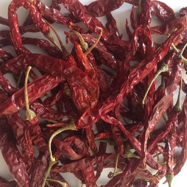 Dry Red Chilli 01