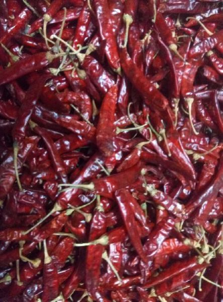 Dry Red Chilli 02