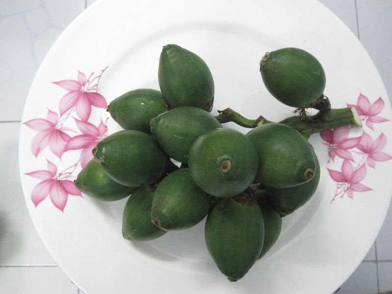 Fresh Betel Nuts Exporter,Fresh Betel Nuts Export Company in 