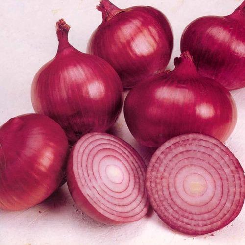 Fresh Indian Onion