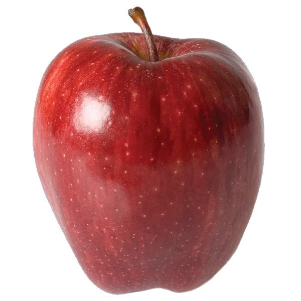 Fresh Indian Red  Apple