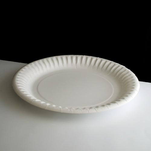 Small Paper Plate